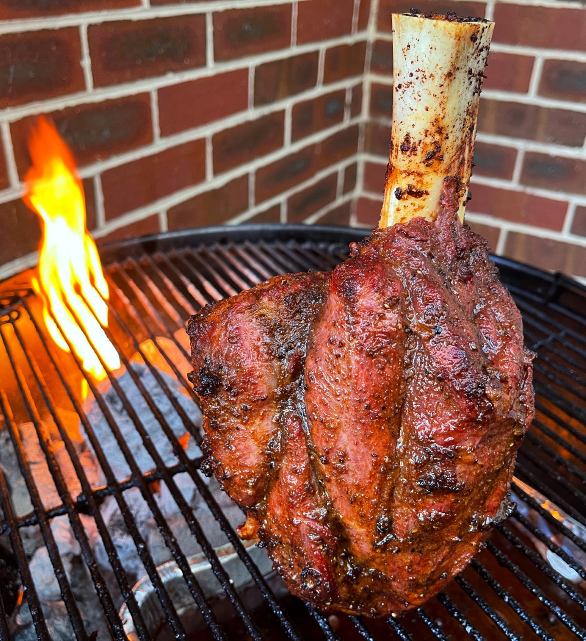 Beef Hammer (Beef Shank)