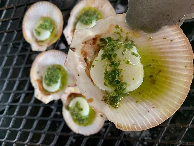 How To Shuck A Scallop